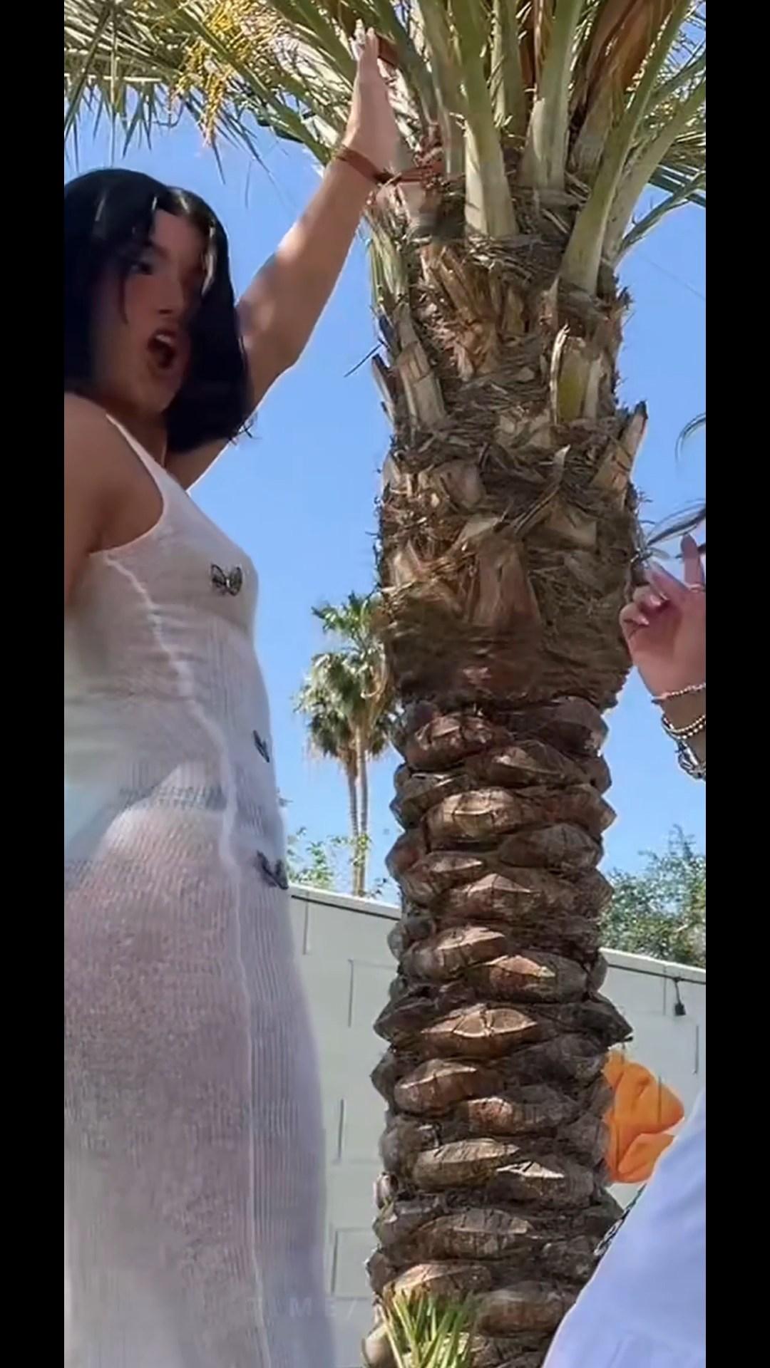 charli damelio nude tits see through video leaked bbseay