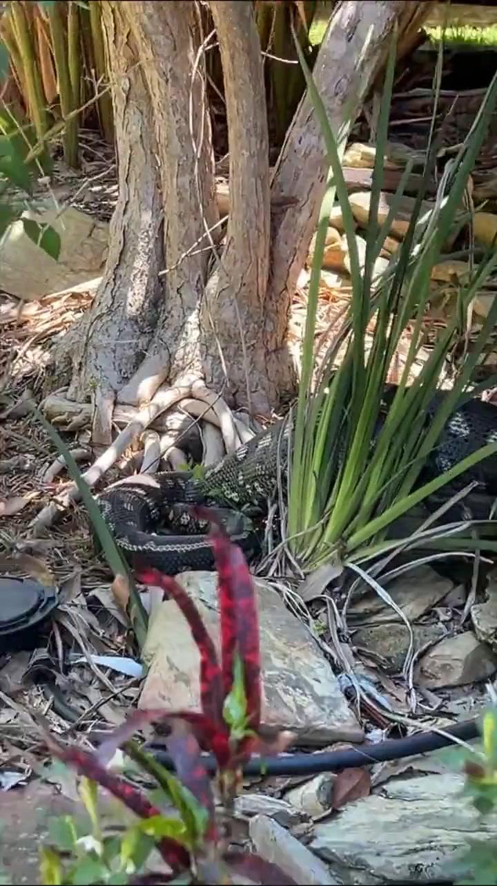 a81a71762355445d78a375633cd7d71852ac149f a81a71762355445d78a375633cd7d71852ac149f